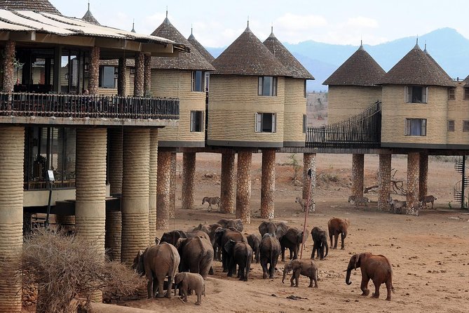 Day 4: Tsavo east to Tsavo west