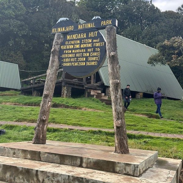Day 2: Marangu Gate to Mandara Hut