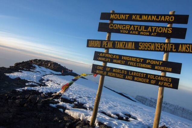 Day 8 : Ascent to Summit of Uhuru Peak - Descent to Horombo Hut