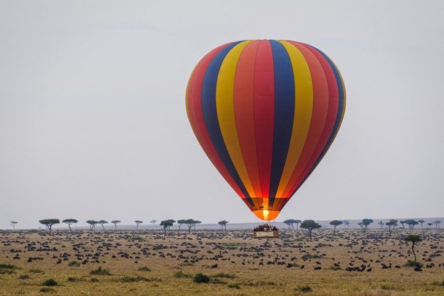 3 Day to Masai Mara Balloon Safari in Kenya.