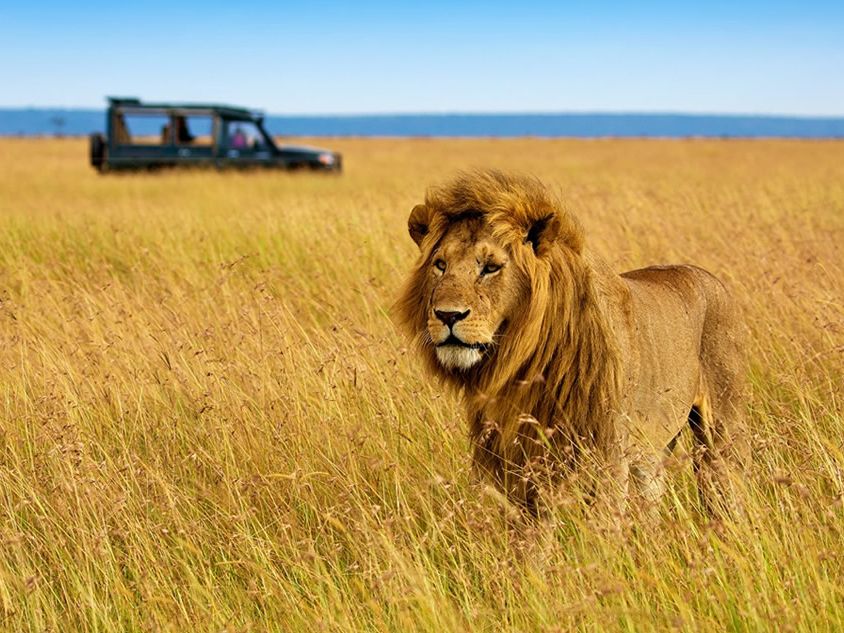 Day 6: Lake Nakuru-Masai Mara