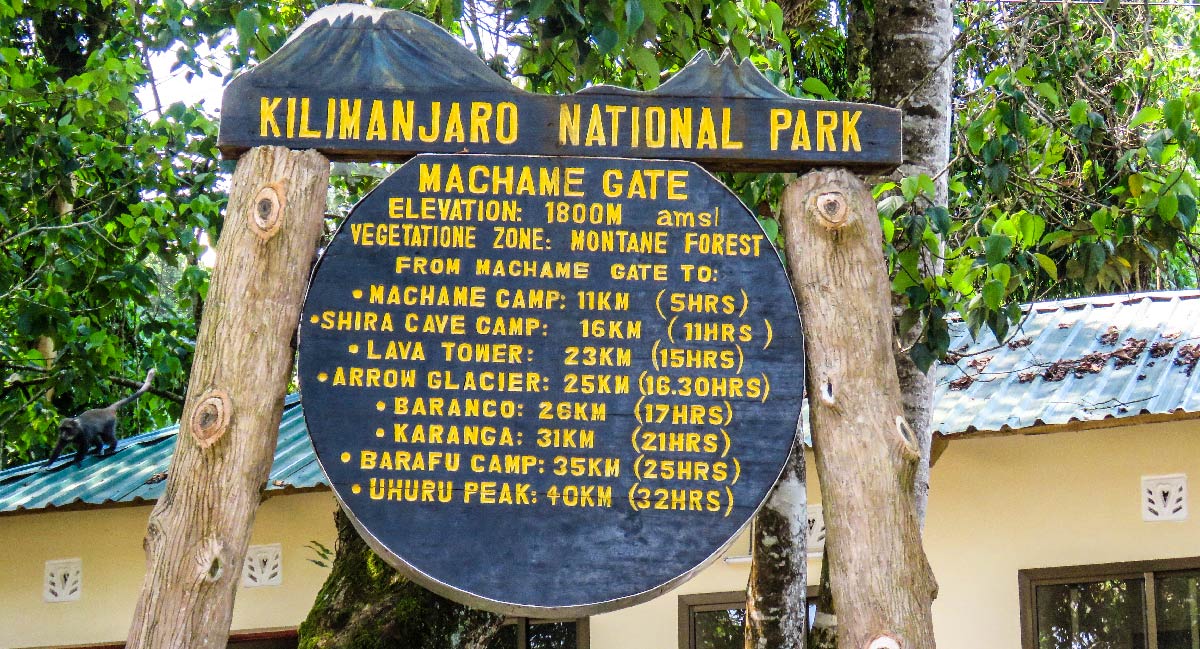 Day 2: Machame Gate (1,800m/5,900ft) to Machame Camp (3,000m/9,800ft)