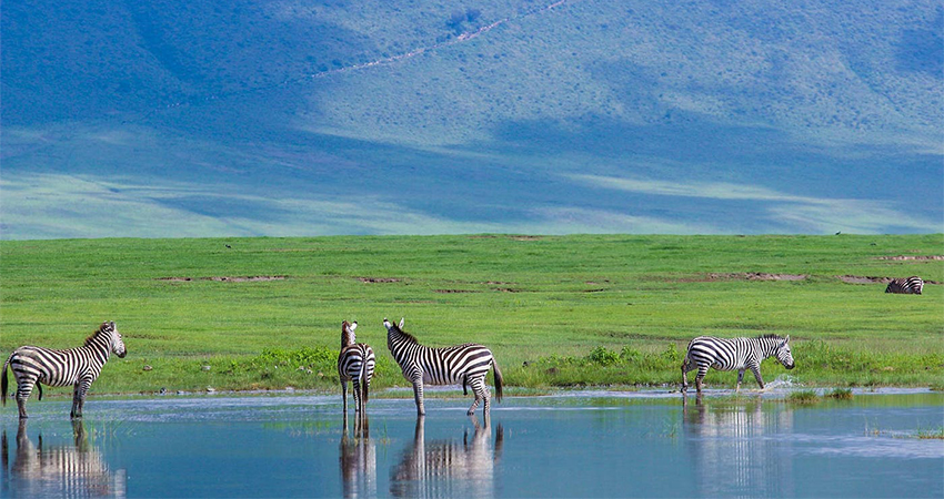Day 9: LAKE MANYARA - ARUSHA - NAIROBI