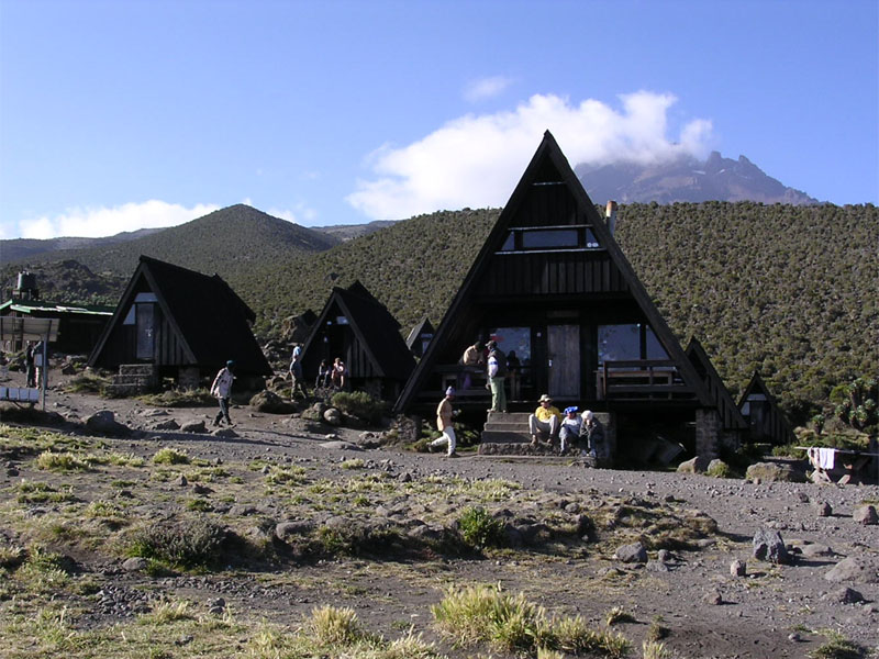 Day 3: Mandara Hut (2,743 m) to Horombo Hut (3,720 m)