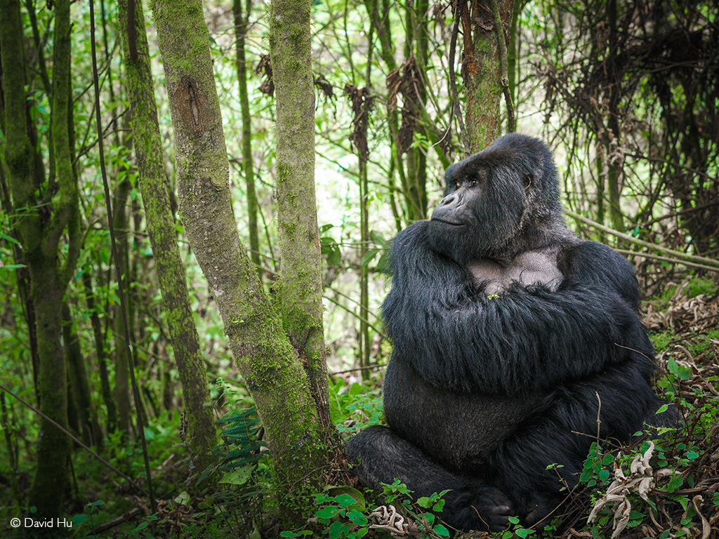 Day 3: Exploring Kisoro & Surroundings