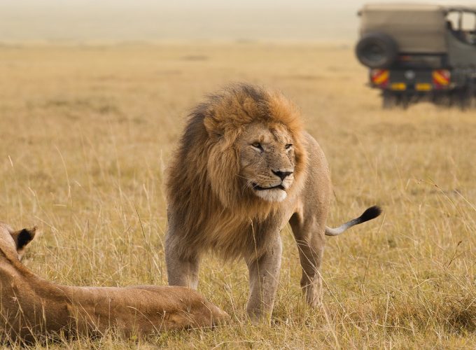 13 days 12 nights Kenya and Tanzania safari