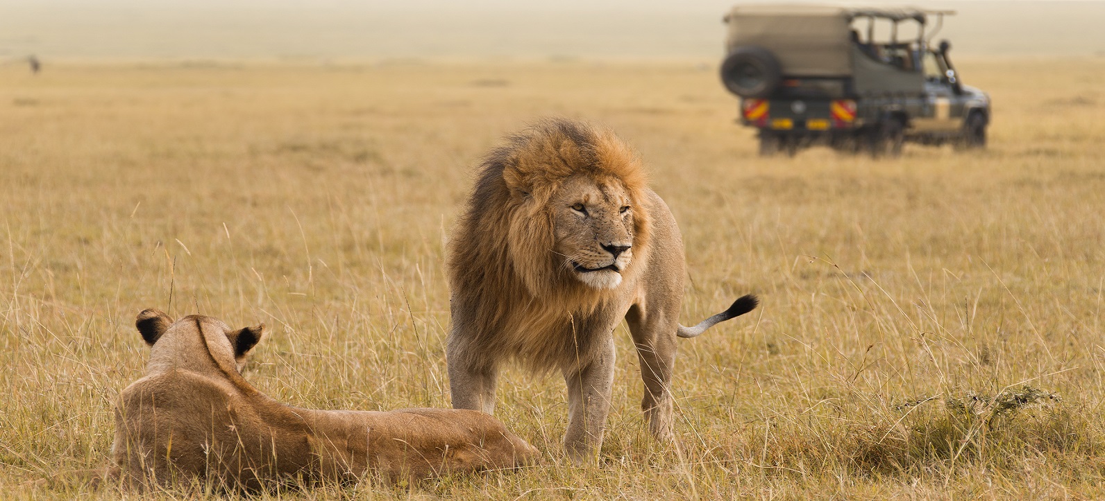13 days 12 nights Kenya and Tanzania safari