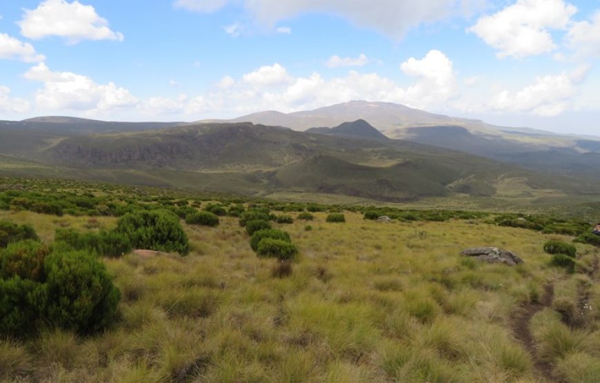 Nairobi National Park in Nairobi Kenya.