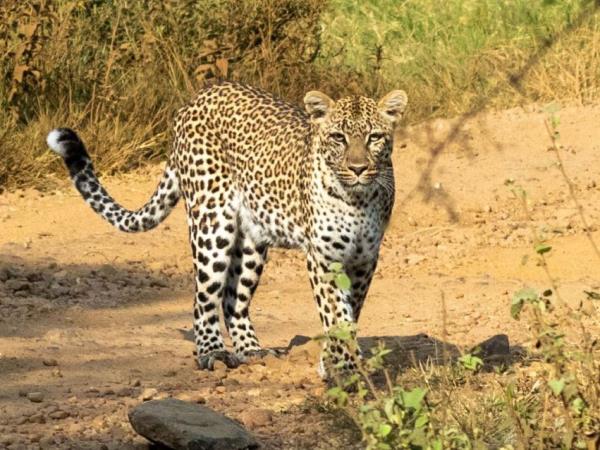 Day 1: Serengeti National Park Safari Adventure