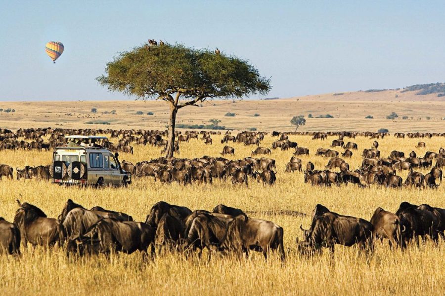 A Day Trip to Masai Mara National Reserve Kenya.