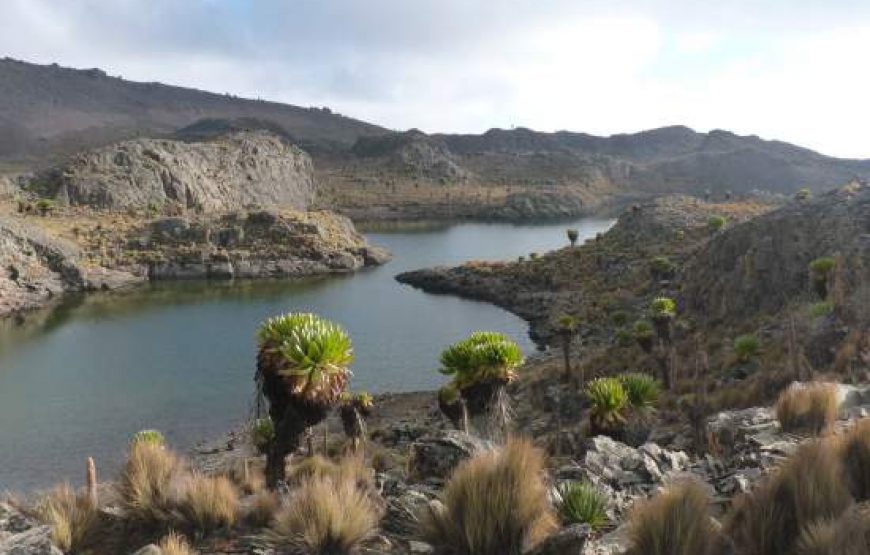 7 Days in Mt. Kenya Climbing, Timau- Chogoria Route