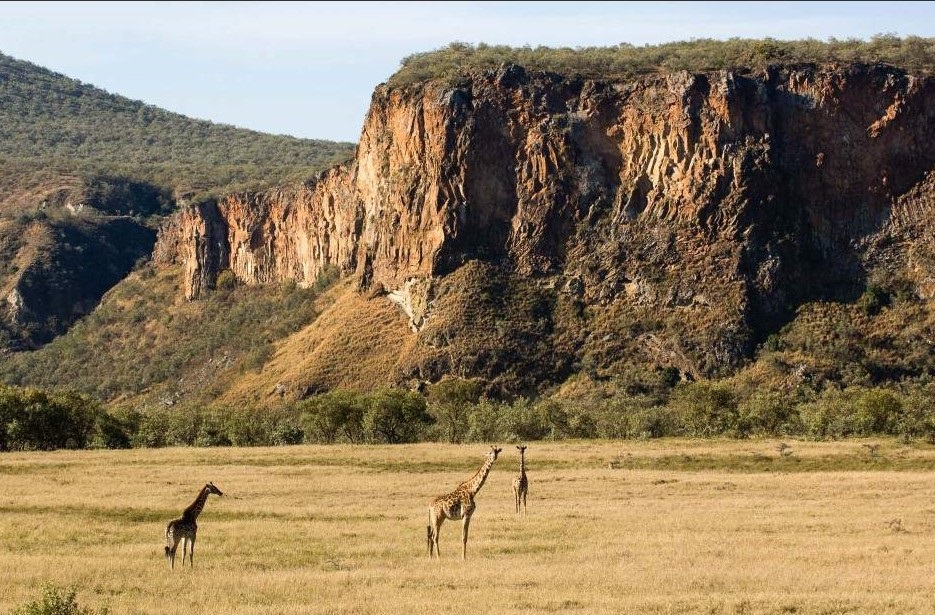 1-Day Hell’s Gate & Lake Naivasha Adventure