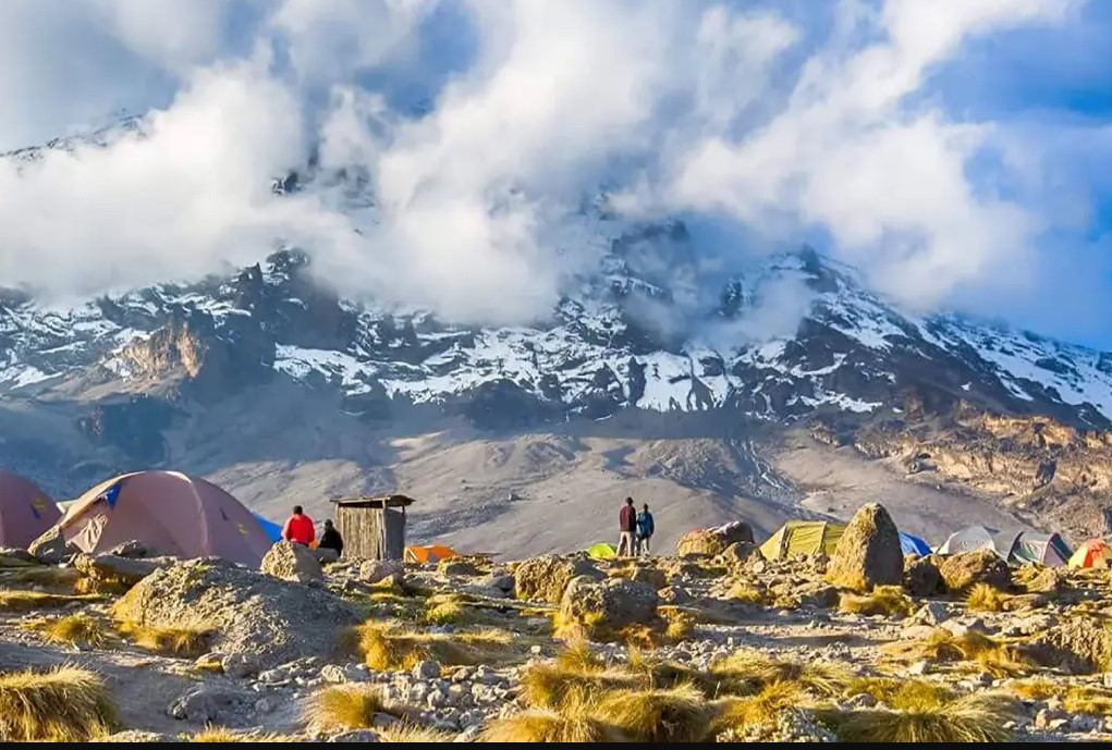 Day 14 – Machame Camp to Shira Camp (2,980 m → 3,840 m)