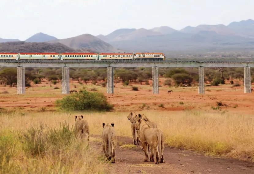 Day 5: Tsavo Park – Mombasa