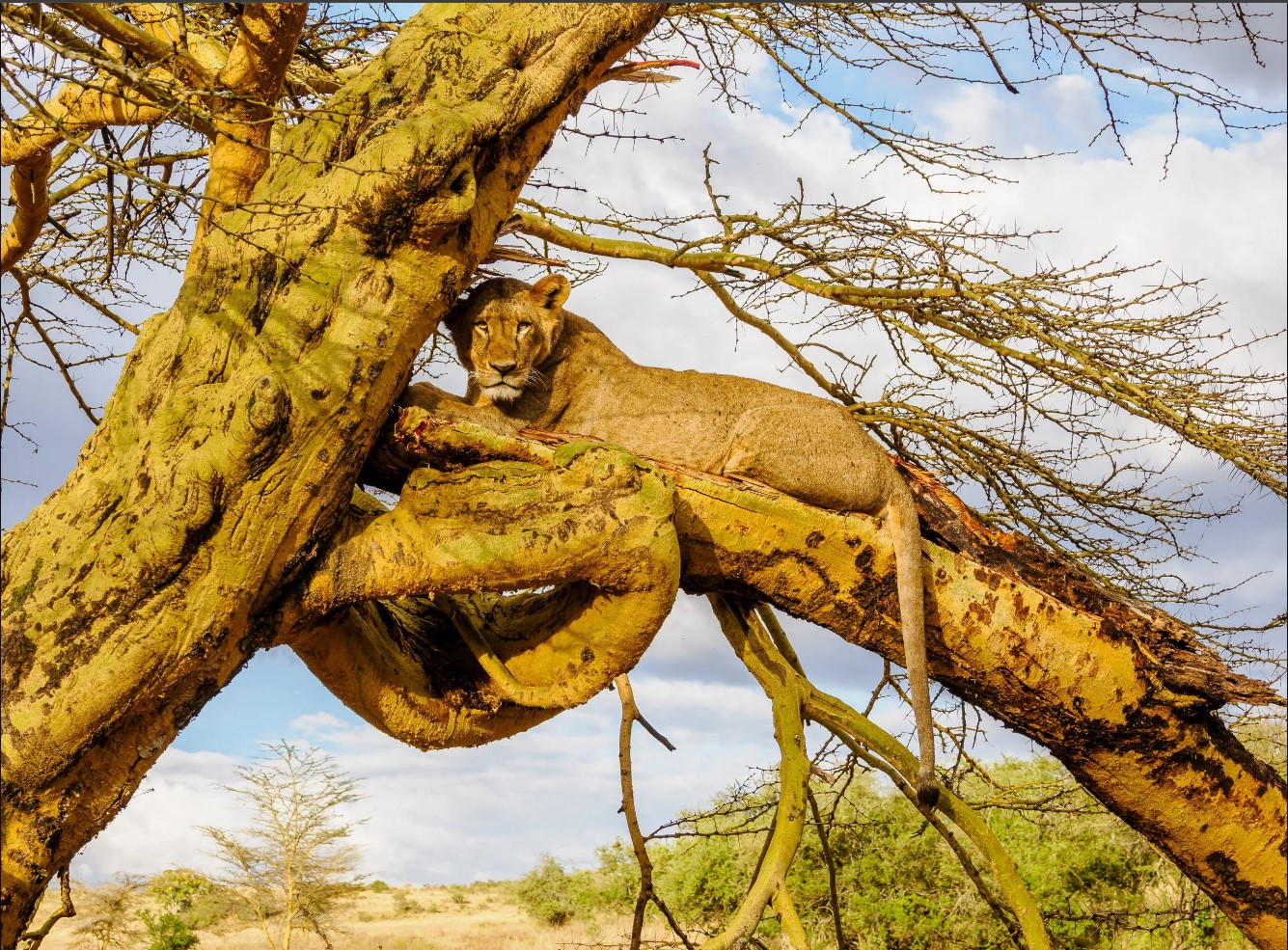 Day 4: Samburu National Reserve Full Day