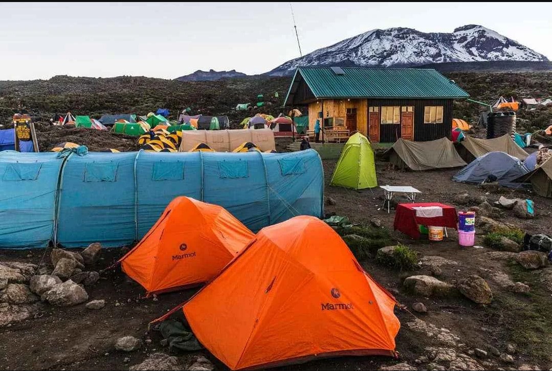 Day 3 : Moshi - Rongai Gate - Simba Camp