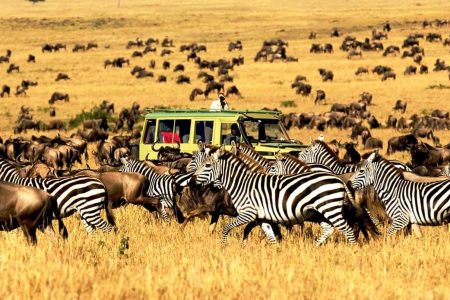 Serengeti National Park