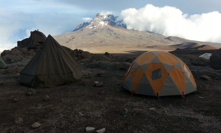 Day 12: Barafu Camp - Uhuru Peak - Lower Mweka Camp