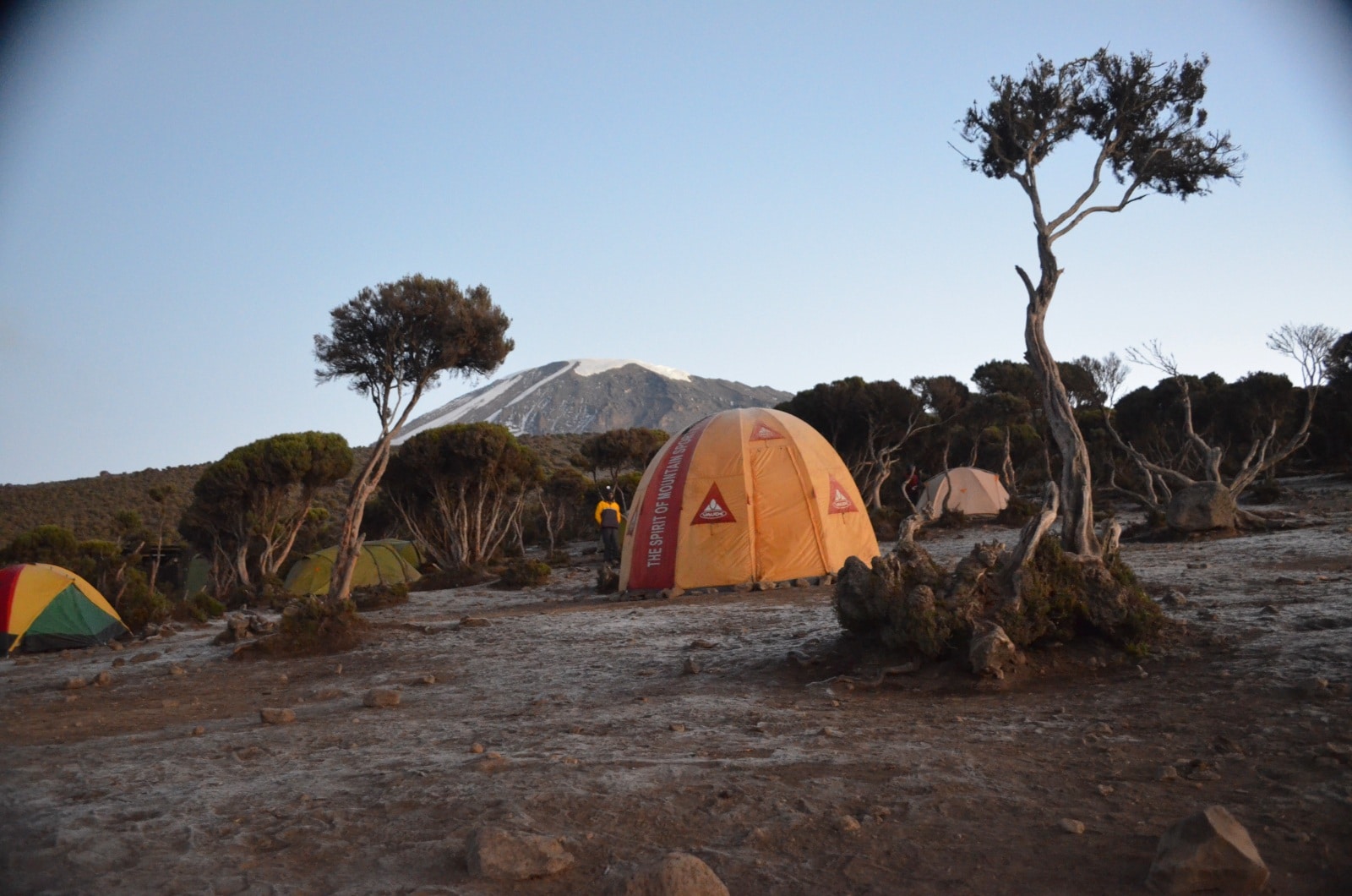 Day 7: Mweka Camp (3,110m/10,200ft) to Mweka Gate (1,830m/6,000ft)