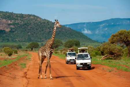 3 Day to Tsavo National Park in Kenya.