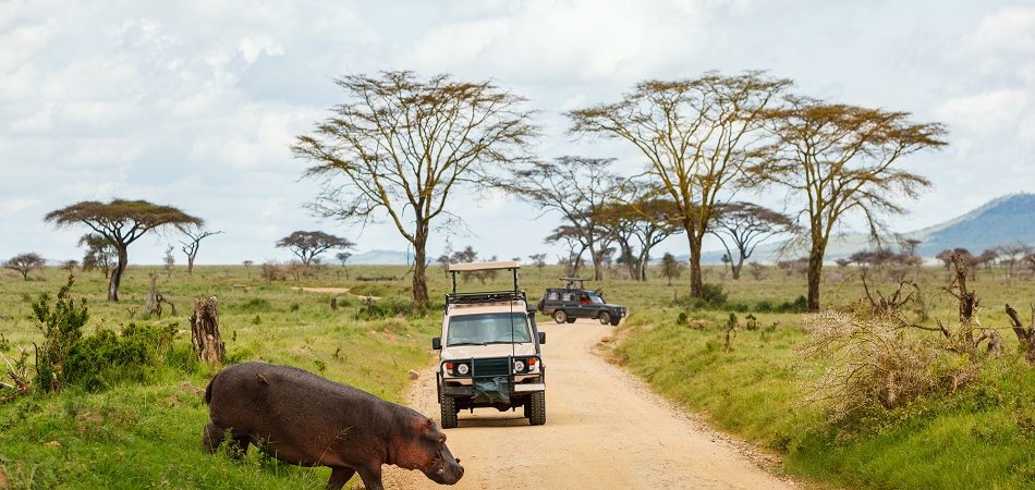 Day 7 : Lake Manyara – Arusha – Nairobi/Zanzibar