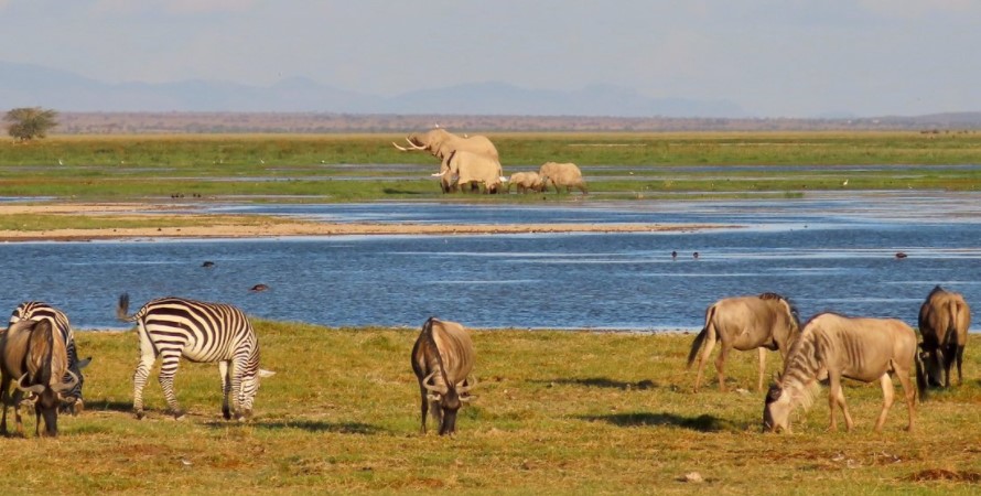 Day 7: Amboseli National Park