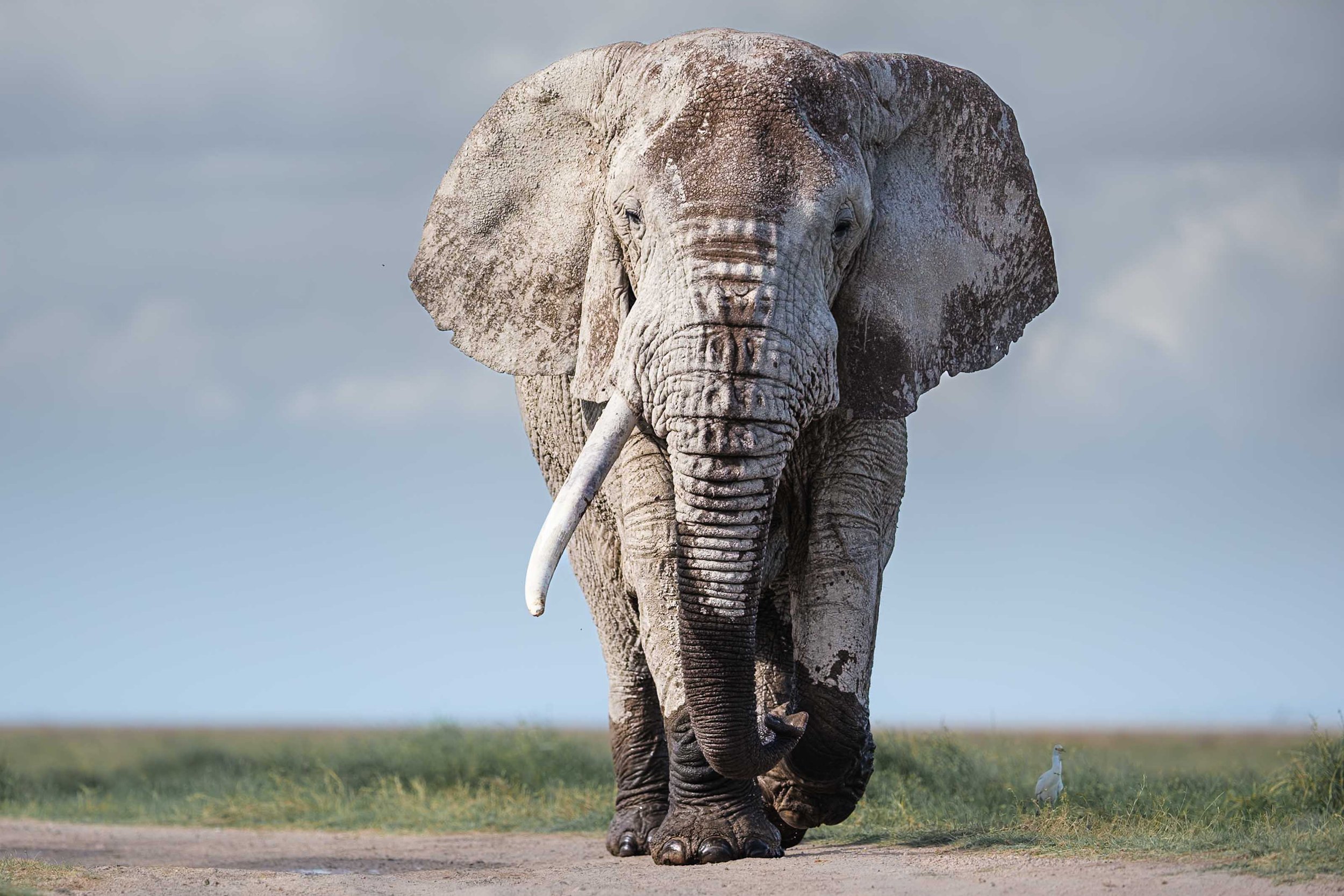 Day one Nairobi to Amboseli 