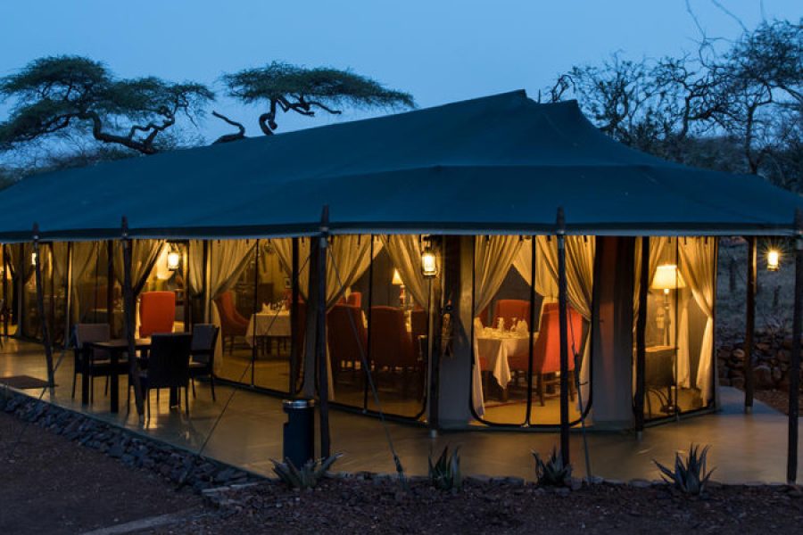 7 DAYS / 6 NIGHTS LODGE and CAMPING SAFARI, TANZANIA.