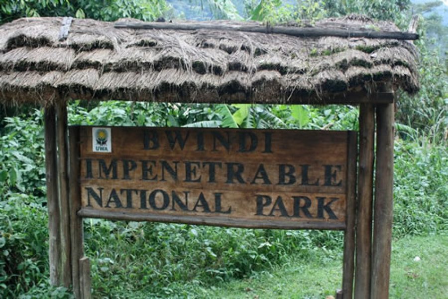 Bwindi National Park