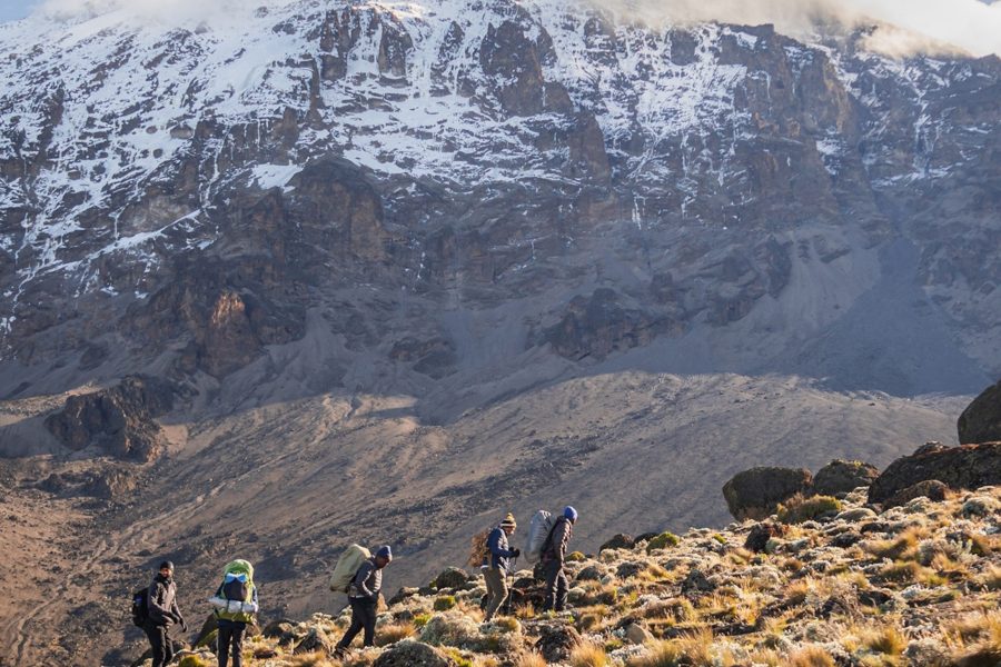 MT KLIMANJARO Trecking