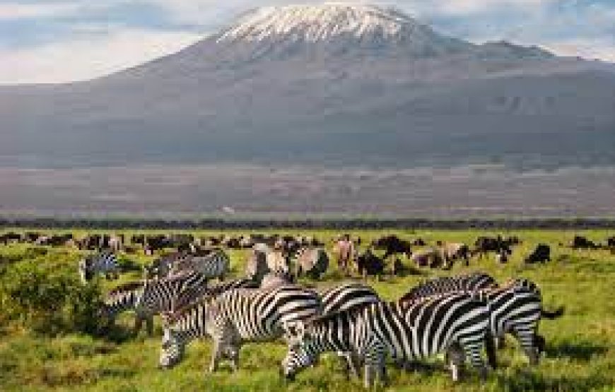 The Shadow of Kilimanjaro – 5 days in Kenya.