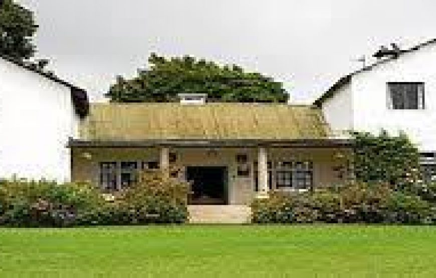 Kiambethu Tea Farm Tour in Kenya.