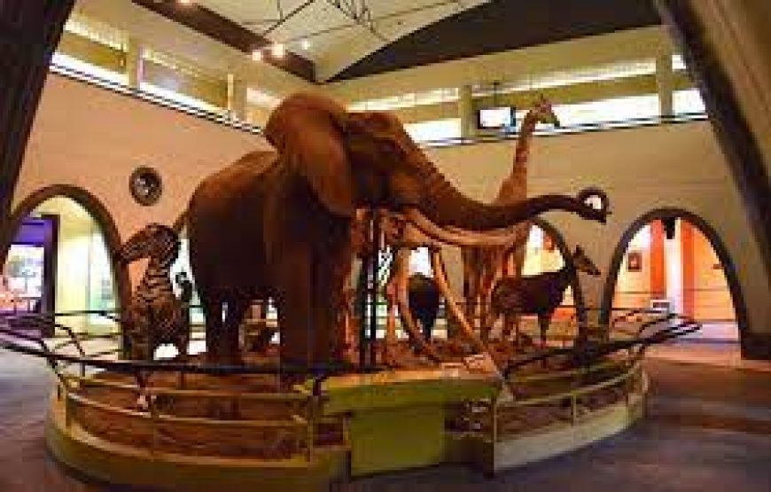 Nairobi National Museum in Kenya.