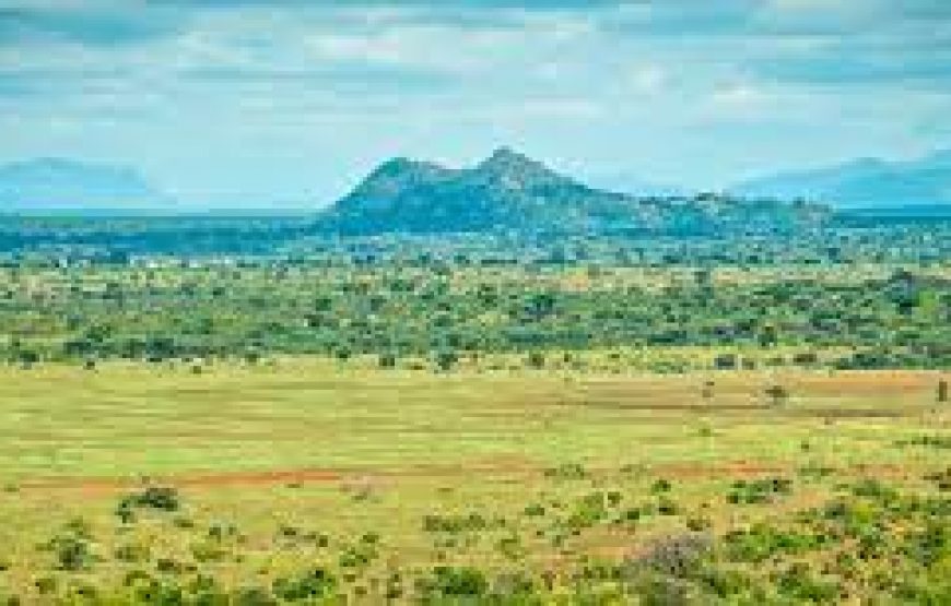 3 Day`s to Meru National Park in Kenya.