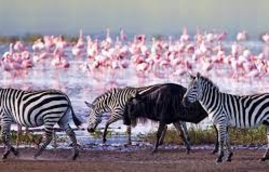 Day trip to lake Nakuru national park in Kenya