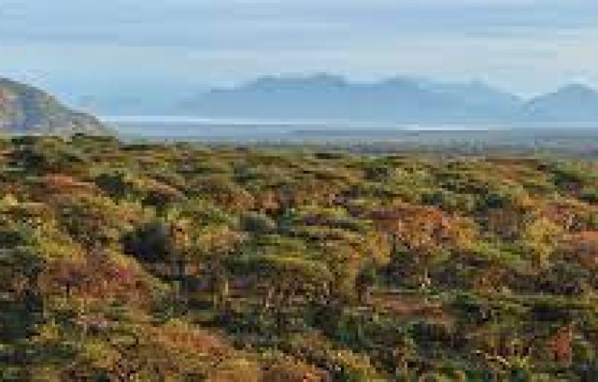 3 Day to Samburu National Reserve in Kenya.