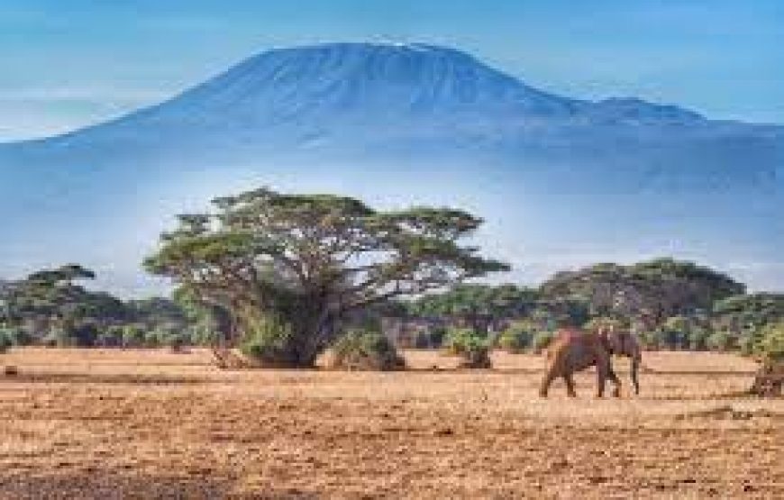 The Shadow of Kilimanjaro – 5 days in Kenya.