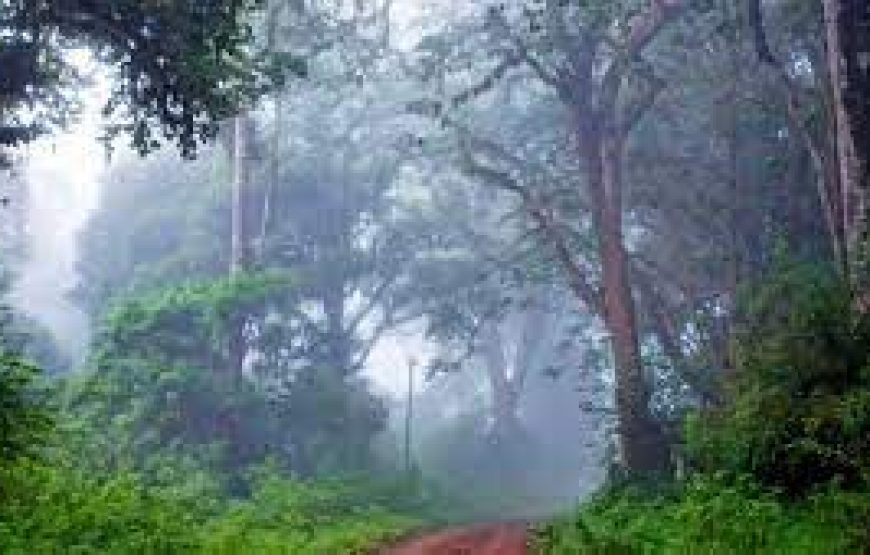 3 Days Marsabit National Park in Kenya.