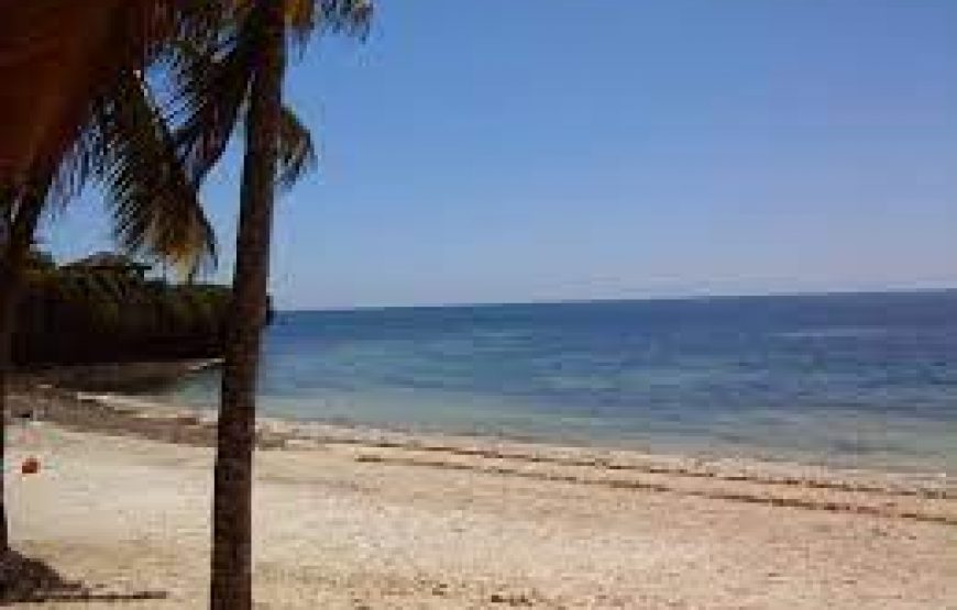 Ngomongo village in Mombasa Kenya.