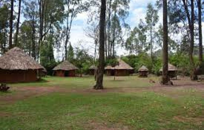 Bomas of Kenya in Nairobi.