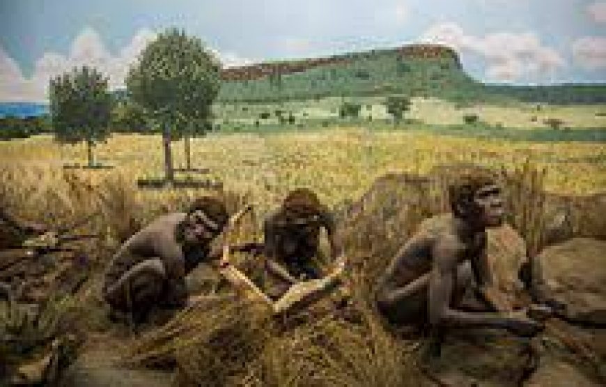 Nairobi National Museum in Kenya.