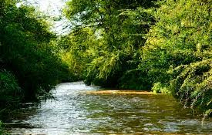 3 Day`s to Meru National Park in Kenya.