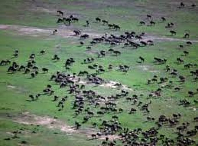 Through the Rift Valley featuring Keekorok – 4 days in Kenya.