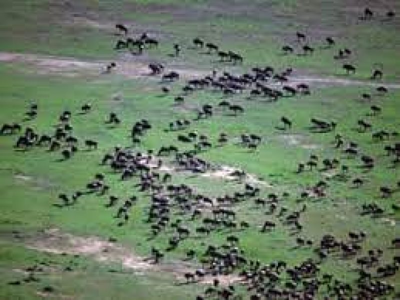 Through the Rift Valley featuring Keekorok – 4 days in Kenya.