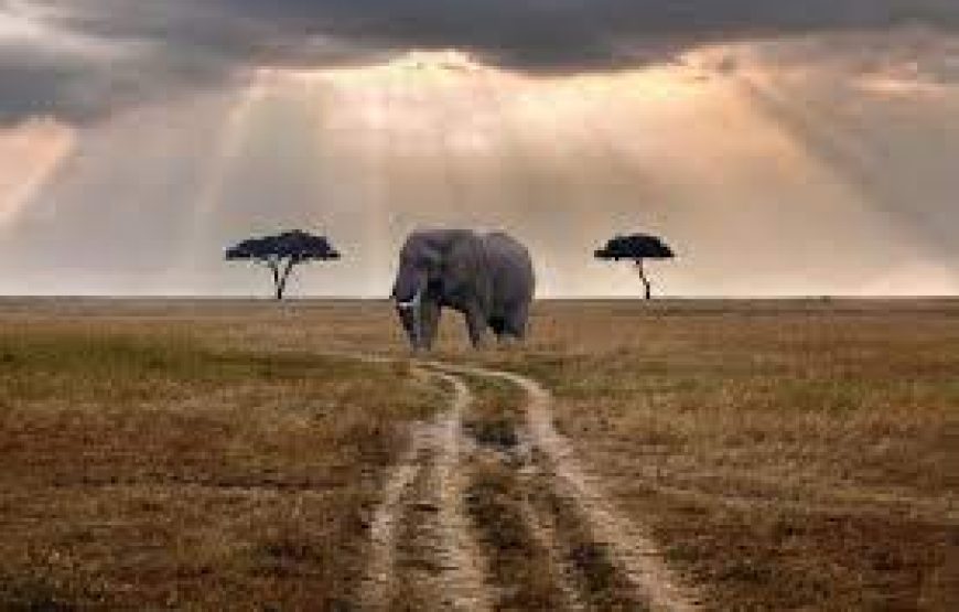 3 Days Marsabit National Park in Kenya.