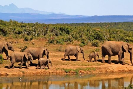 3 Days Marsabit National Park in Kenya.