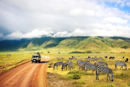 11Days and 10 Nights Kenya and Tanzania Safari