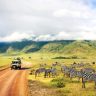 11Days and 10 Nights Kenya and Tanzania Safari