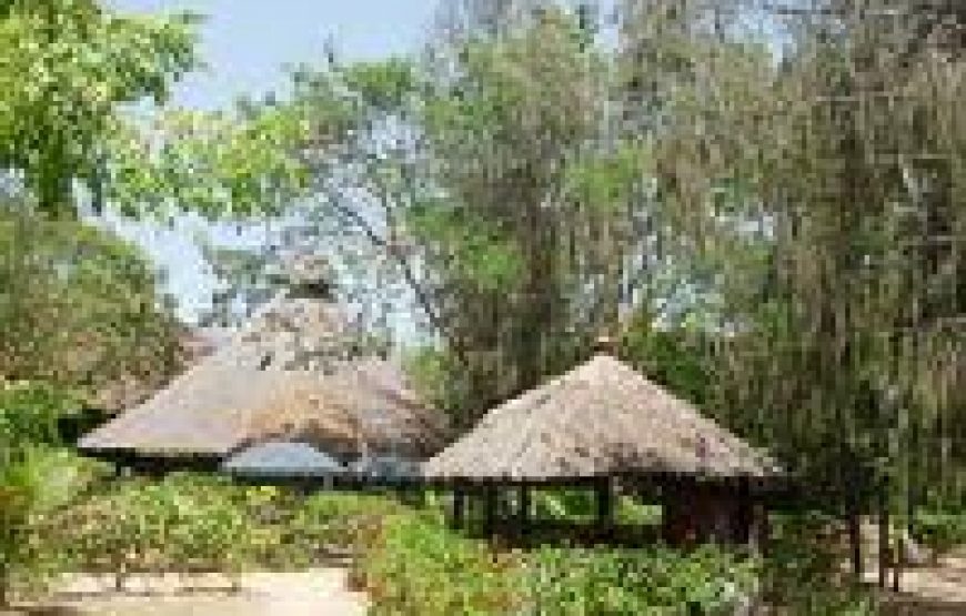 Ngomongo village in Mombasa Kenya.