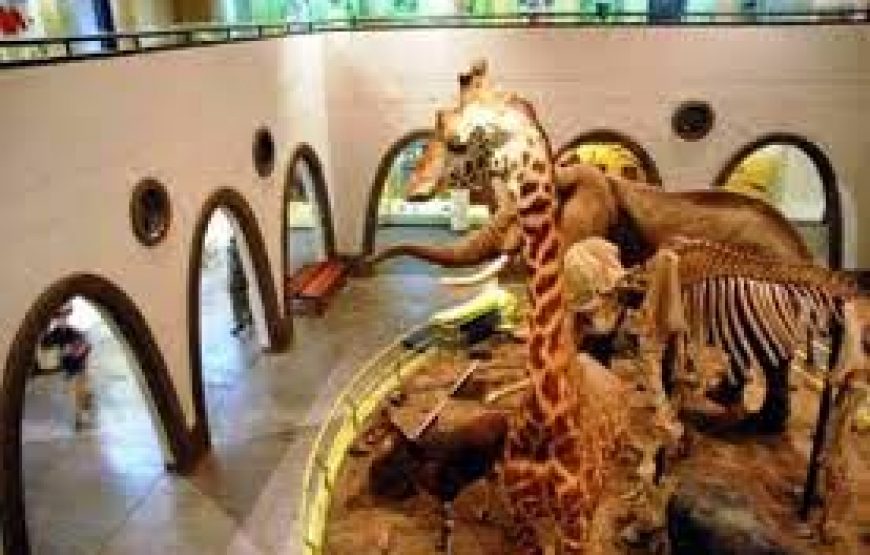 Nairobi National Museum in Kenya.